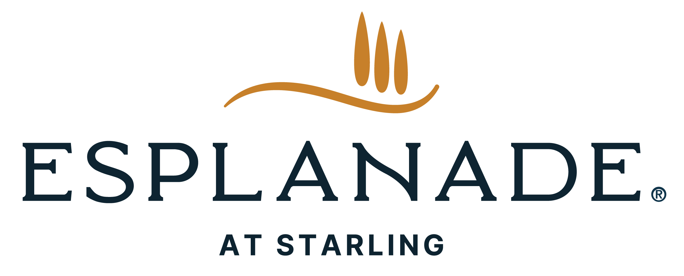 Esplanade at Starling